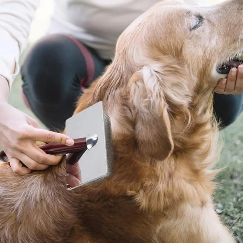 Dog Hair Remover Brush